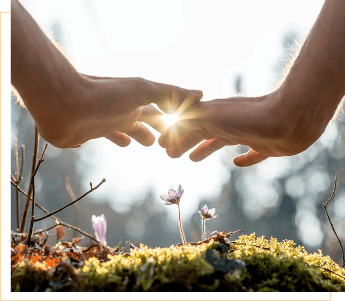 Two hands reaching for sunlight and flowers.