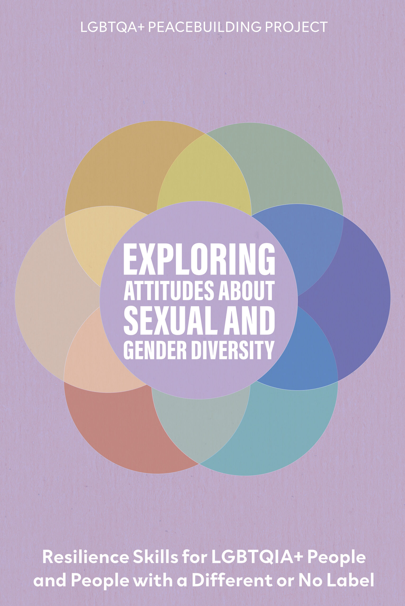 Exploring Attitudes About Sexual and Gender Diversity ebook cover 1